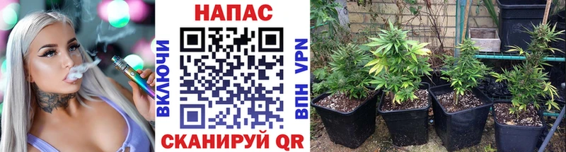 Цена Козельск АМФ  МЕТАДОН  Alpha-PVP  Меф мяу мяу  COCAIN  ГАШИШ  МАРИХУАНА 