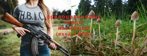 spice Кемь