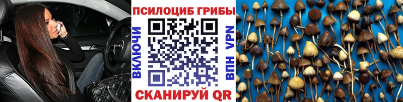 Галлюциногенные грибы GOLDEN TEACHER  Козельск 